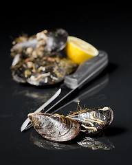 Image showing raw mussel food