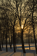 Image showing Sunset (winter)