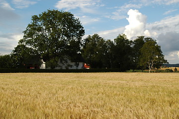 Image showing Farmhouse in Eastern Norway