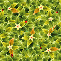 Image showing Floral Pattern