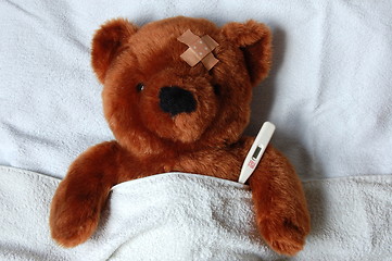 Image showing sick teddy with injury in bed