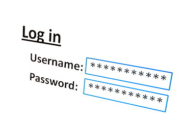 Image showing login on a website in the internet