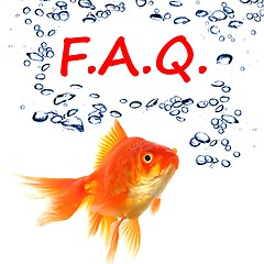 Image showing faq