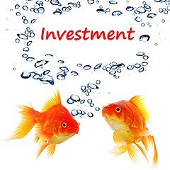 Image showing investment