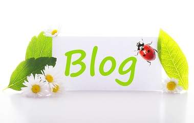 Image showing blog