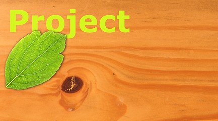 Image showing project