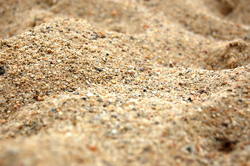 Image showing sand texture