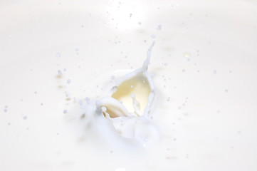 Image showing milk splash