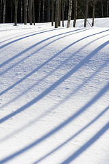 Image showing Low shadows on snow.