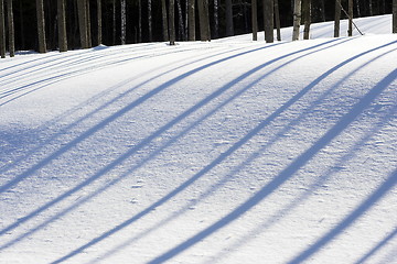 Image showing Low shadows on snow.