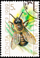 Image showing Canceled Soviet Russia Postage Stamp European Honey Bee Drone