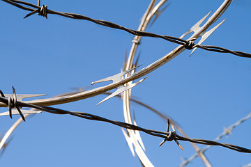 Image showing Barbed Wire Razor Sharp Security Fence Dangerous