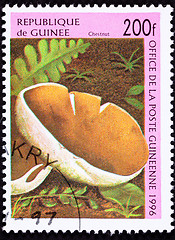 Image showing Canceled Guinea Postage Stamp Chestnut Mushroom, Velvet Pioppino