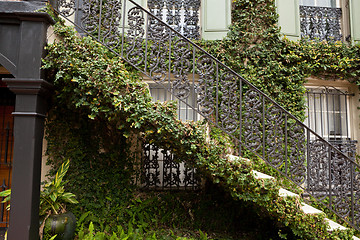 Image showing Ivy Covered Staircase Outside Home Savannah Georgia Wrought Iron