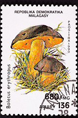 Image showing Canceled Madagascar Postage Stamp Clump Dotted Stem Bolete Bolet