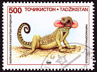 Image showing Canceled Tajikistan Postage Stamp Neck Flap Agamid Lizard Phryno