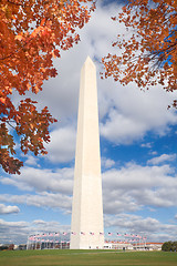 Image showing Washington Monument Autumn Framed Leaves Blue Sky