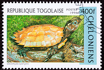 Image showing Togan Postage Stamp Vietnamese Leaf Black-breasted Hill Turtle G
