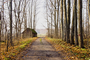 Image showing Abandoned house near gravel road and autumn trees.