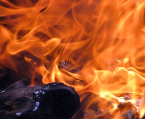 Image showing flame