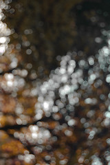 Image showing bokeh background 