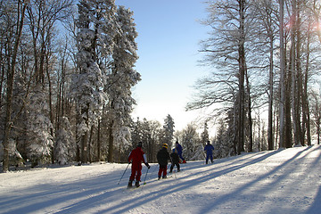 Image showing Winter landscape