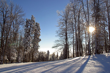 Image showing Winter landscape