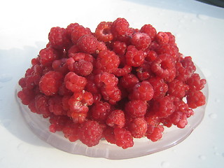 Image showing Wild raspberries