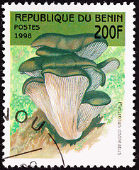 Image showing Canceled Benin Postage Stamp Oyster Mushroom, Pleurotus Ostreatu