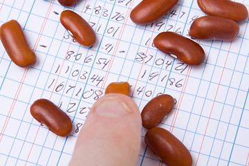 Image showing Finger Tip Kidney Beans on Ledger Book Accounting 