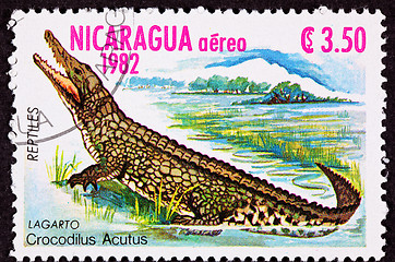 Image showing Canceled Nicaraguan Postage Stamp Standing American Crocodile Cr