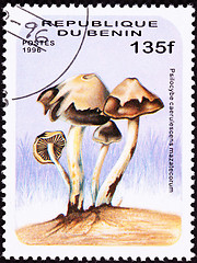 Image showing Benin Postage Stamp Psilocybin Psychedelic Mushroom Psilocybe Ca