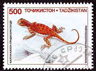 Image showing Canceled Tajikistan Postage Stamp Spotted Toadhead Agama Lizard 