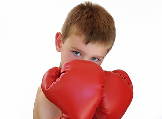 Image showing boxing boy