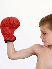 Image showing boy boxer making a muscle