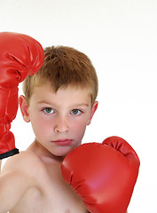 Image showing boy ready to box