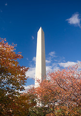 Image showing Washington Monument Autumn Framed Leaves Blue Sky