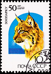 Image showing Canceled Soviet Russia Postage Stamp Big Cat Eurasian Lynx Lynx