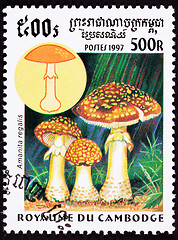 Image showing Canceled Cambodian Postage Stamp Fly Agaric mushroom, Amanita Mu