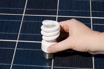 Image showing Hand Compact Fluorescent Light Bulbs Solar Panel