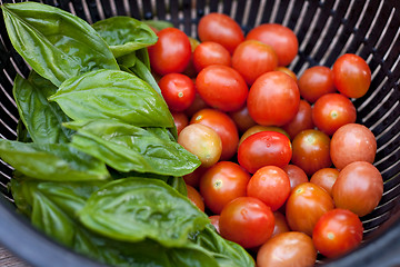 Image showing Fresh Picked Grape Tomatoes and Green Basil