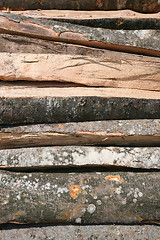 Image showing log