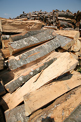 Image showing log