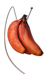 Image showing Ripe Red Bananas Bunch