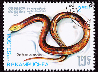 Image showing Canceled Cambodian Postage Stamp Sheltopusik, European Legless L