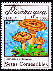 Image showing Canceled Nicaragua Postage Stamp Mushroom Saffron Milk Cap Lacta