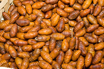 Image showing Close-Up Heap Silkworm Pupae Bombyx Mori Larva