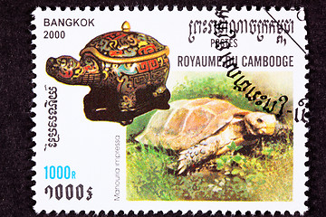 Image showing Canceled Cambodian Postage Stamp Impressed Tortoise, Manouria im