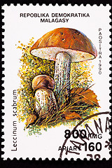 Image showing Canceled Madagascar Postage Stamp Clump Birch Bolete Mushroom Le