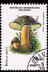 Image showing Canceled Madagascar Postage Stamp Porcini Mushroom, Boletus Edul